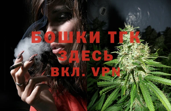 гидра Армянск