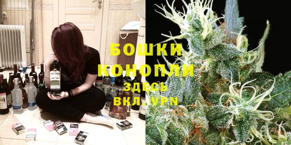 гидра Армянск