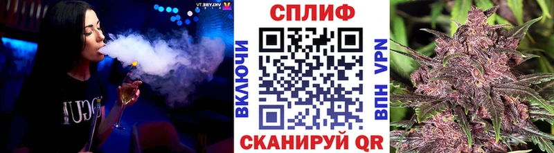 Конопля гибрид  Певек 